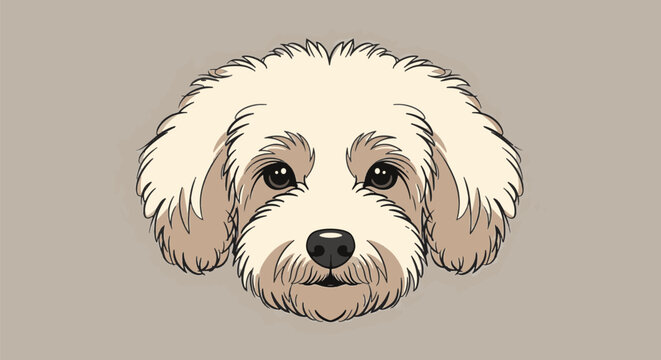 Vector illustration of a fluffy dog face, featuring cream and tan fur, large brown eyes, and a black nose, depicting a Cockapoo or Maltipoo puppy on a neutral background.