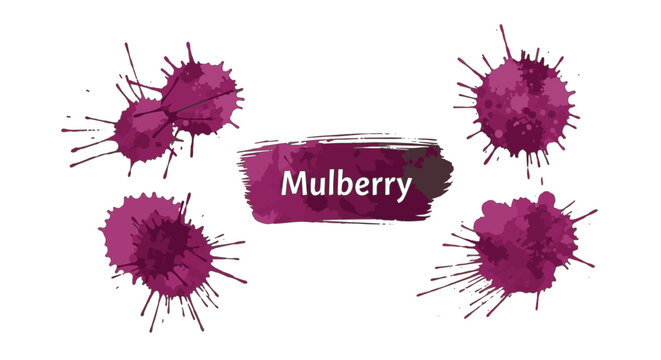 Collection of four isolated mulberry purple ink splatters and a central watercolor brushstroke with text on a white background, showing realistic liquid spray and drip details.