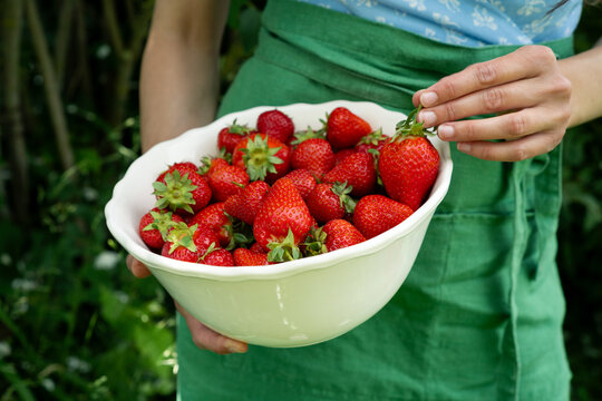 Close-up of a woman standing in a summer garden holding a bowl of freshly picked strawberries