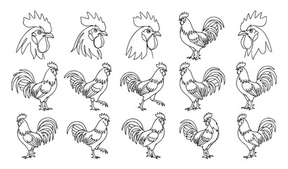 One Continuous Line Rooster Vector Set with Farm Bird Portraits Hand Drawn Cock Silhouettes and Minimal Animal Line Art Isolated on White © MstNazma