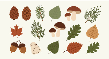 Forest nature collection with mushrooms leaves and pinecones © asep