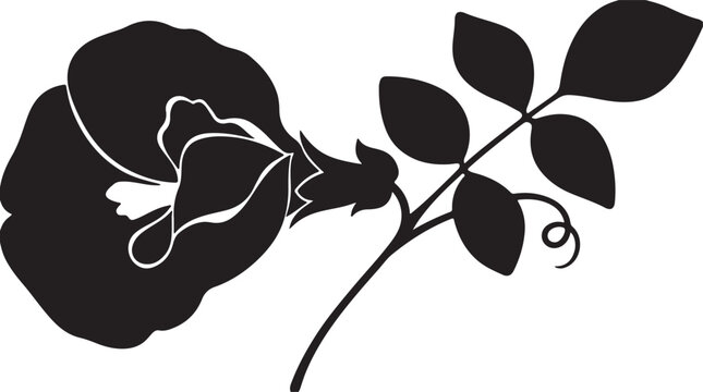 Butterfly pea flower silhouette vector, black floral botanical illustration, blooming clitoria ternatea plant with leaves for organic logo design