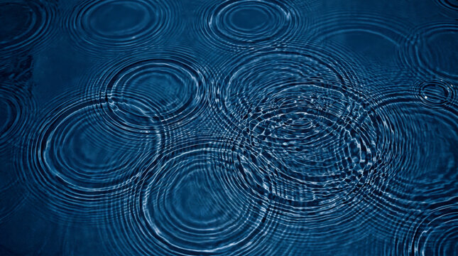 Raindrops falling on a dark blue water surface create multiple overlapping concentric ripples and concentric waves spreading across the liquid during a gentle rain shower