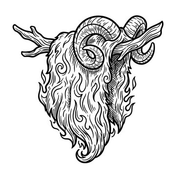Ram skin with horns hanging on tree branch.