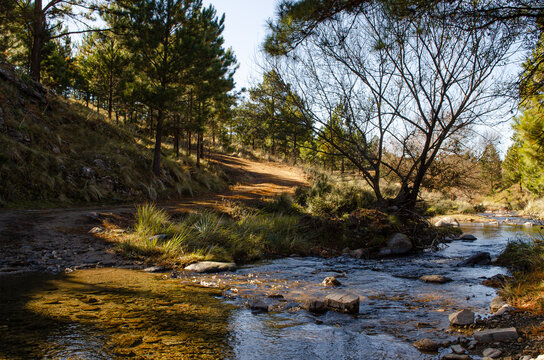 Adventure in mountain forest near a lake.