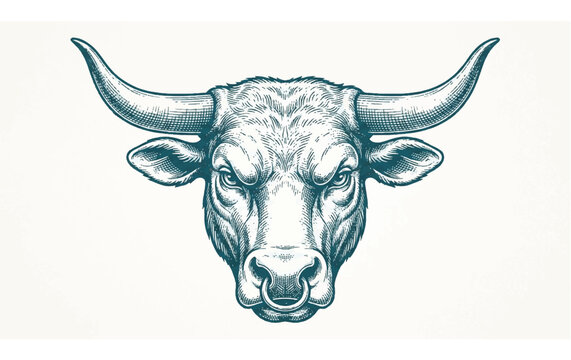 Bull head with large horns facing forward.