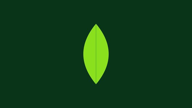 Minimalist green leaf animation: eco-friendly nature and sustainability concept 4k