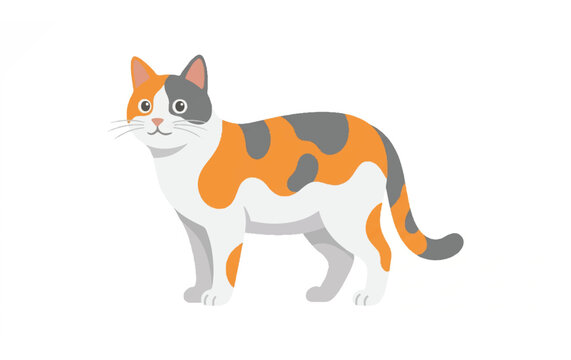 Colorful Orange Gray and White Cat.