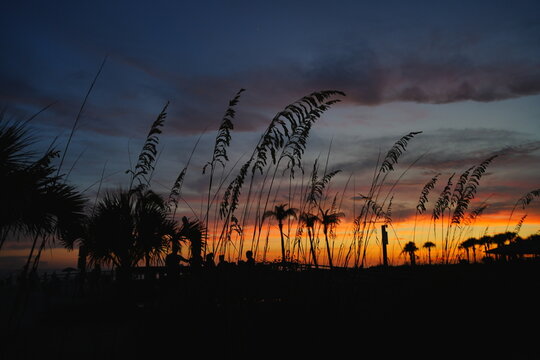 St Petersburg, Florida, USA: 07 03 2026: The landscape of saint Petersburg Madeira Beach in Florida at sun set