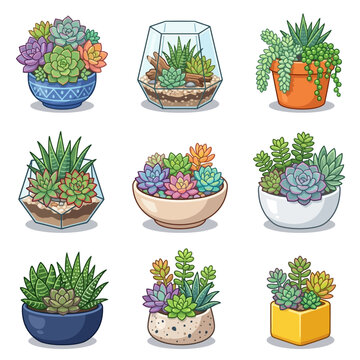 A variety of colorful succulent plants.