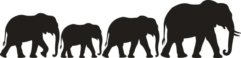 Black elephant silhouettes walking in a line symbolizing growth, family, and wildlife concept for nature and safari vector design © MD