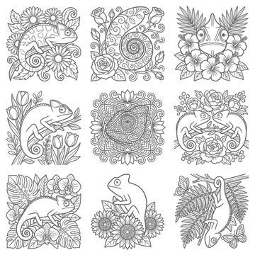 Colorful illustrations of various animals and flowers.