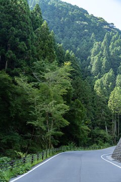 山間の貴船川沿いを走る京都府道361号上黒田貴船線