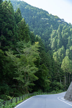 山間の貴船川沿いを走る京都府道361号上黒田貴船線