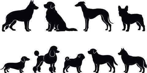 Dog Breed Silhouette Vector Set with German Shepherd, Golden Retriever, Whippet, French Bulldog, Poodle, Pug, and Dachshund for Pet Shop and Veterinary Branding © MdRobiul