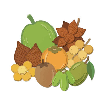 Tropical exotic fruits vector illustration set featuring salak snake fruit persimmon sapodilla bilimbi and langsat isolated on white background