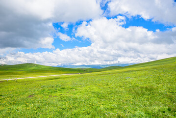 Fototapeta premium Natural Scenery of Karajun Grassland, Tekes, Ili, Xinjiang, China