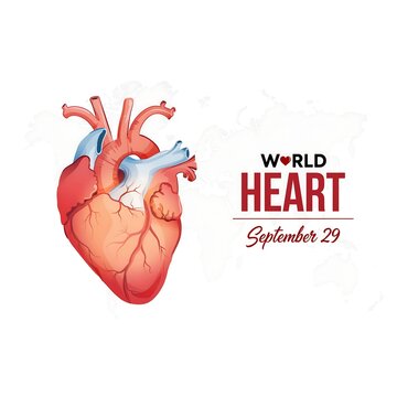 World heart day awareness design featuring human heart anatomy illustration on september 29, anatomy study