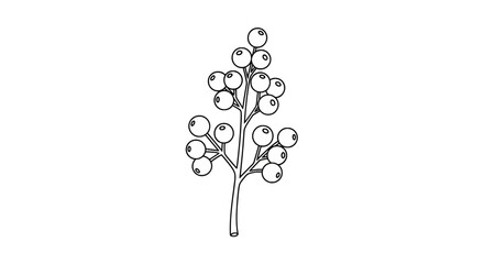 Simple berry branch botanical outline on white background © jidan