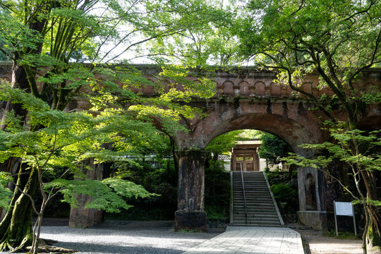 水路閣と青もみじ