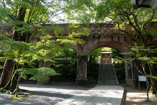 水路閣と青もみじ