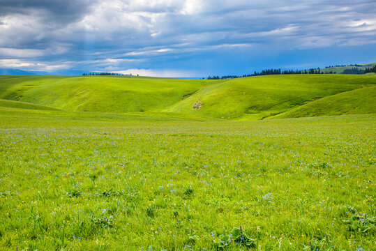 Natural Scenery of Karajun Grassland, Tekes, Ili, Xinjiang, China