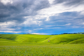 Fototapeta premium Natural Scenery of Karajun Grassland, Tekes, Ili, Xinjiang, China