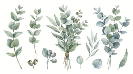 Various eucalyptus leaves and branches are arranged on a surface. © Avra