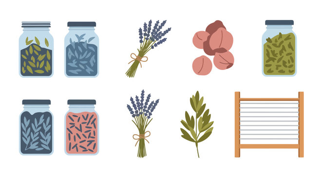 Collection of natural laundry and home care items including jars with herbs, lavender bundles, soap nuts, a single leaf, and a washboard.