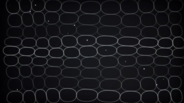 oval mesh pattern closeup in black grid texture
