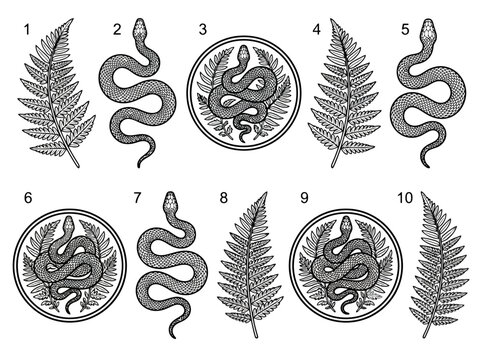 Set of hand drawn snakes and fern leaf botanical illustrations