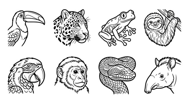 Set of black and white line art portraits of tropical jungle animals