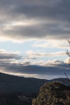 serene dusk over tasmanian hills with trees in the foreground