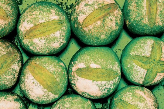 Fresh mint green bread rolls with scored crust arranged in a tight formation for artisan bakery branding, rustic pastry shop menu and food blog background