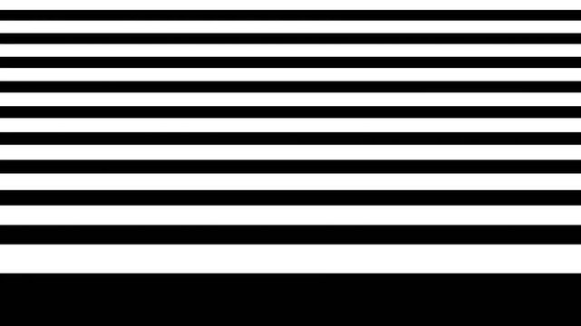 video motion a black and white striped pattern. It consists of multiple horizontal lines that are evenly spaced and run horizontally across the image.