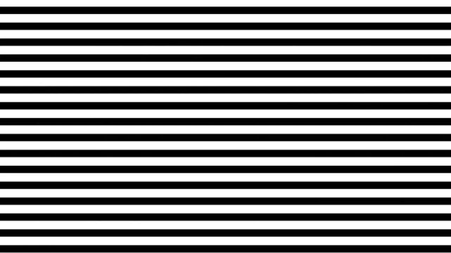 video motion multiple horizontal lines that are evenly spaced and run horizontally across the image. The lines are of varying widths and thicknesses, creating a uniform and uniform appearance.