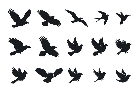 Set of flying birds silhouettes