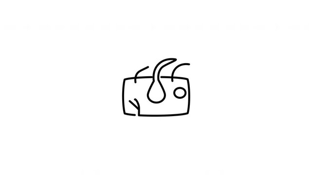 Minimalist outline animation of human skin layer cross section with hair follicle anatomy icon drawing on and fading out. Features a clean pop up style in 3 color setups.