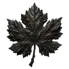 Fototapeta premium Dark Green Leaf with Detailed Veins and Edges.