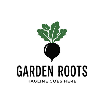 Fresh turnip beet vegetable with green leaves for organic food gardening logo design