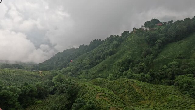 Aerial tour of the skyline of the Darjeeling tea farm and the town