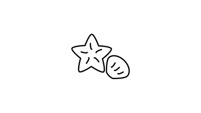 Minimalist outline animation of a marine starfish next to a small seashell drawing on and fading out. Features a clean pop up style in 3 color setups.
