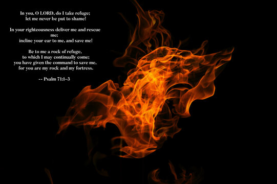 Psalm 71 1-3