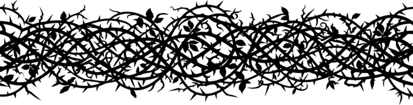 Thorny branches seamless border pattern vector silhouette tangled briar hedge black rose thorn frame