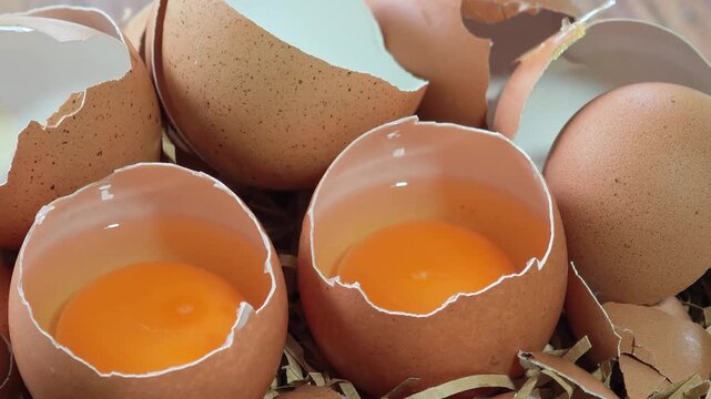 Fresh chicken eggs, cracked and ready for cooking.