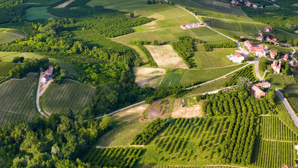 Obraz premium Aerial View of Lush Green Vineyards and Farmhouses in Piedmont Italy