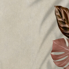 Monstera leaves border background, minimal design © Rawpixel.com