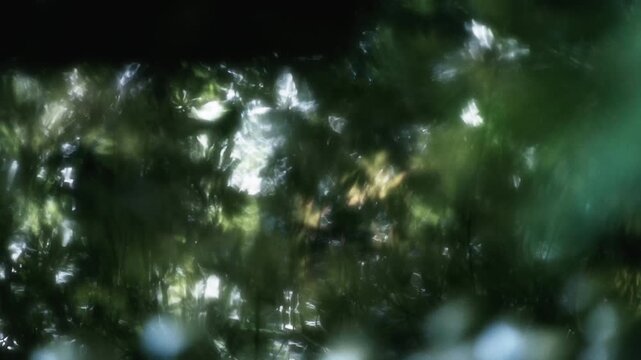 波紋を拡げて静かに揺れる穏やかな川の流れと表面に夏の自然の緑を反射する水面の揺らぎ　水資源・夏休み・アウトドア　日本の涼しい風景　