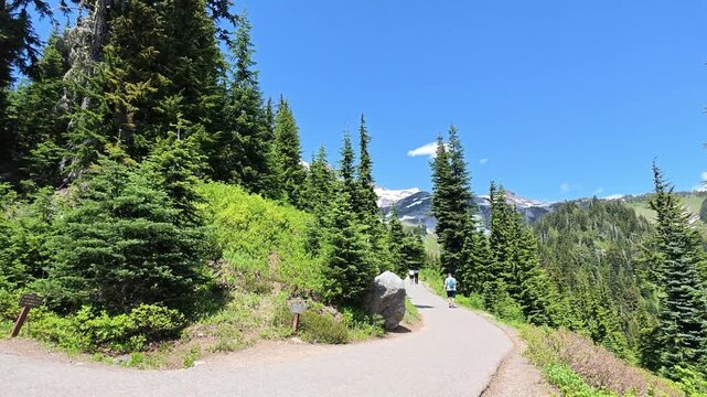 Mountain trail with snow-capped peaks in the background