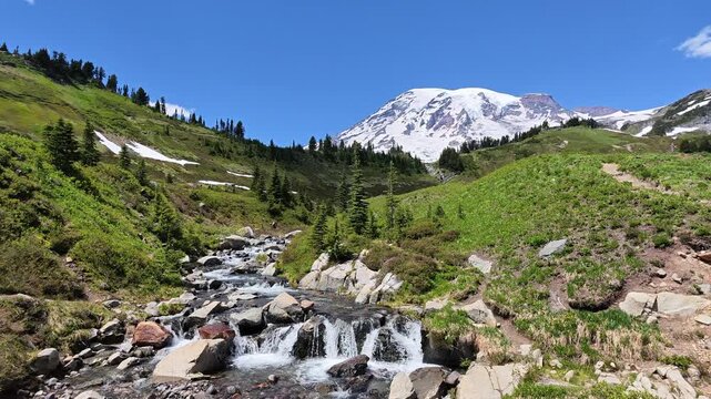Flowing Mountain Stream with Snow-Capped Peak in Washington